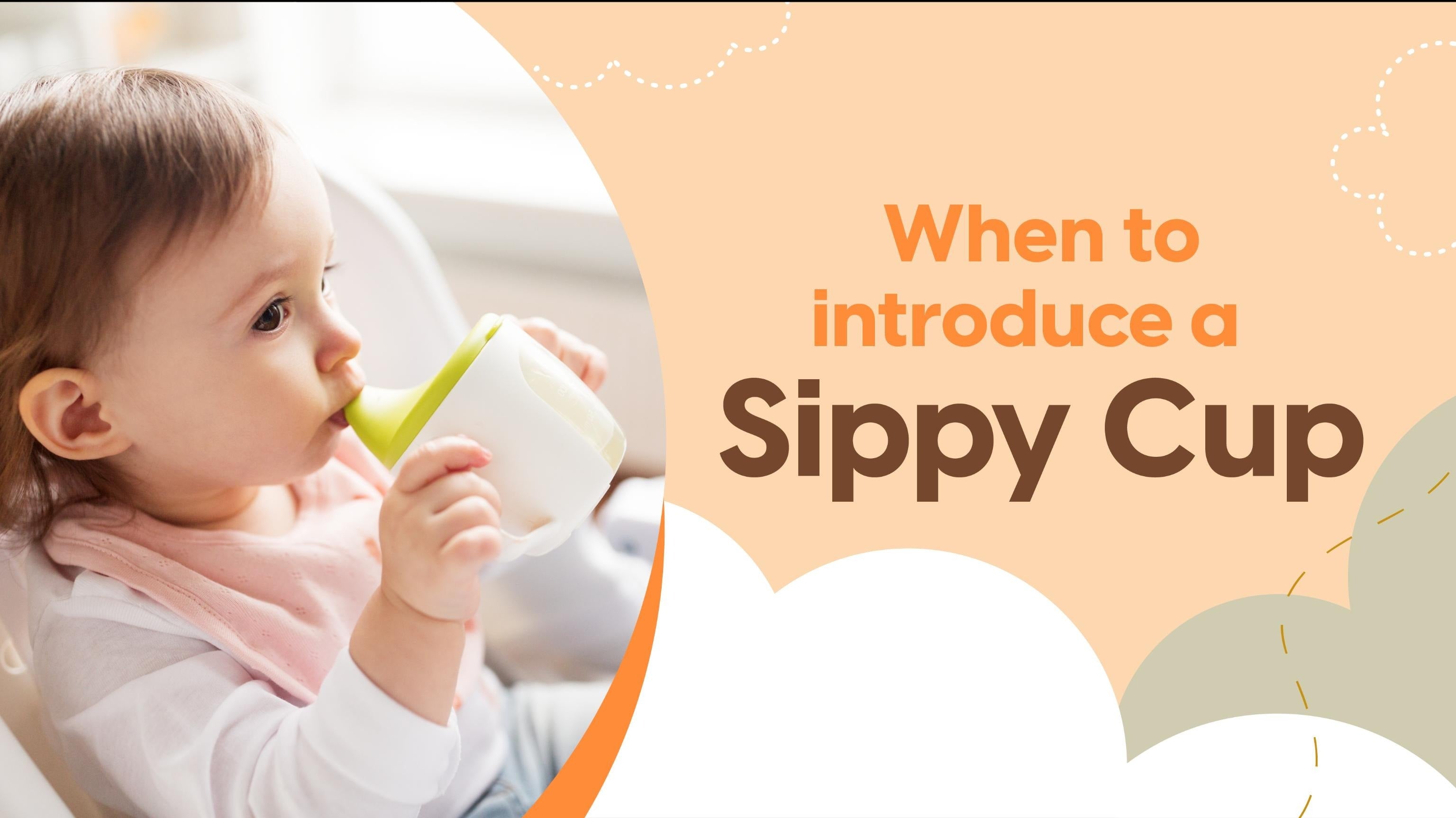 When to Introduce a Sippy Cup - How to Transition From Bottle to