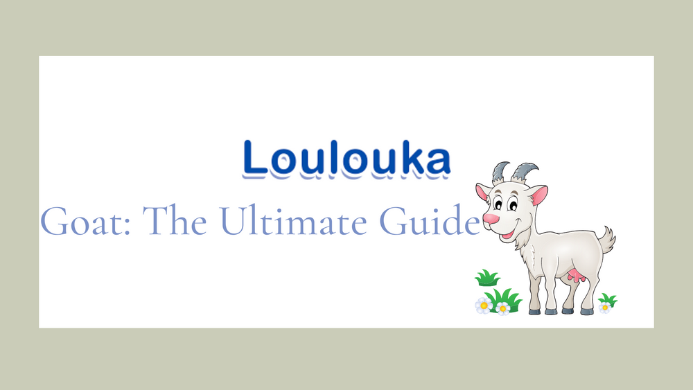 Loulouka Goat Milk: The Ultimate Parent’s Guide