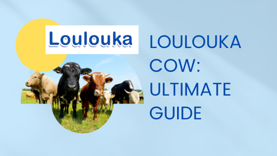 Loulouka Cow's Milk: The Ultimate Parent's Guide
