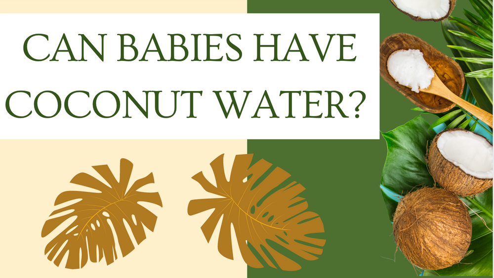 Can Babies Have Coconut Water: A Quick Guide