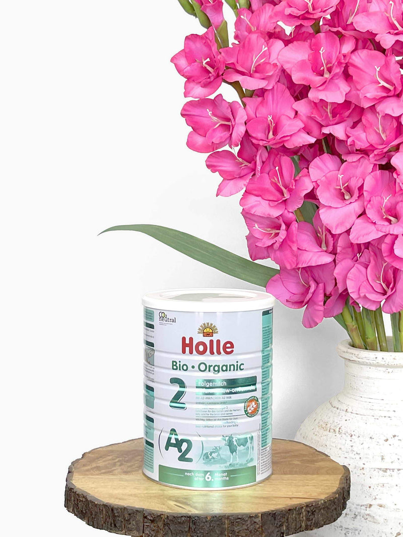 Holle A2 Stage 2 Organic Baby Formula Organic Formula
